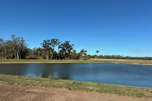 10164 Hidden Hammock Loop, Parrish, FL 34219 - Photo 8