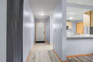 2943 Hanna Ct, Palm Harbor, FL 34684 - Photo 2