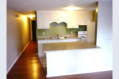 209 12th Avenue N, Saint Petersburg, FL 33704 - Photo 16
