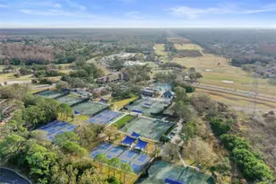 113 Woodlake Wynde, Oldsmar, FL 34677 - Photo 54