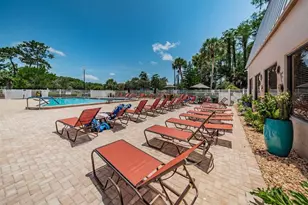 12154 Putter Green Ct, New Port Richey, FL 34654 - Photo 48