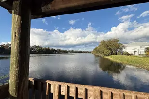 7218 E Bank Dr, Tampa, FL 33617 - Photo 26