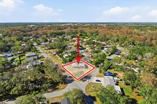 9161 Royal Palm Ave, New Port Richey, FL 34654 - Photo 6