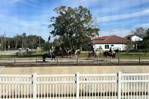 6204 92nd Pl N, Pinellas Park, FL 33782 - Photo 12