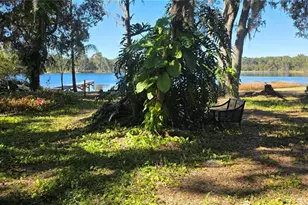 9906 Gunn Hwy, Odessa, FL 33556 - Photo 16