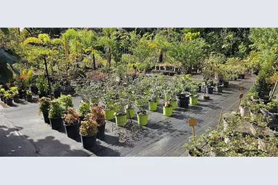 9906 Gunn Highway, Odessa, FL 33556 - Photo 46