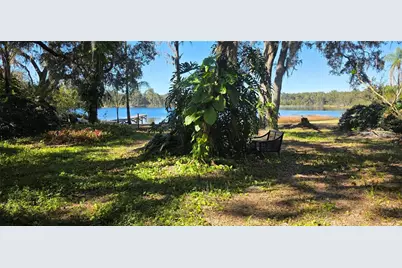 9906 Gunn Highway, Odessa, FL 33556 - Photo 16