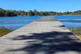 9906 Gunn Hwy, Odessa, FL 33556 - Photo 20