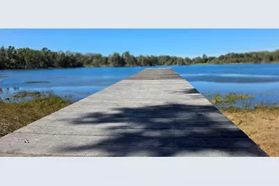 9906 Gunn Highway, Odessa, FL 33556 - Photo 22