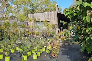 9906 Gunn Hwy, Odessa, FL 33556 - Photo 44