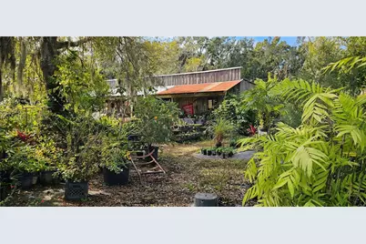 9906 Gunn Highway, Odessa, FL 33556 - Photo 8