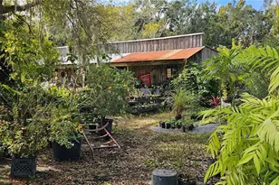 9906 Gunn Hwy, Odessa, FL 33556 - Photo 8