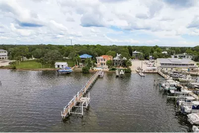 302 Shore Drive, Palm Harbor, FL 34683 - Photo 68