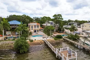 302 Shore Dr, Palm Harbor, FL 34683 - Photo 66
