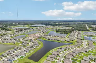 12818 Boggy Creek Dr, Riverview, FL 33579 - Photo 46