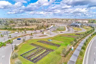 11130 Crescent Deer Dr, Land O Lakes, FL 34638 - Photo 28