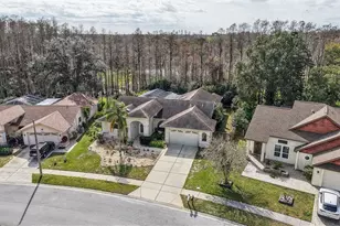 5237 Las Flores Via, New Port Richey, FL 34655 - Photo 56