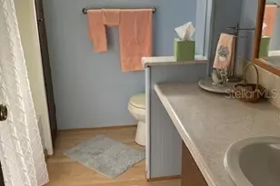 3405 Lanark Dr, Holiday, FL 34690 - Photo 22