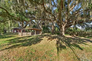 725 Giant Oak Rd, Lakeland, FL 33810 - Photo 78