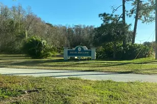1333 Shady Pine Way, Tarpon Springs, FL 34688 - Photo 52
