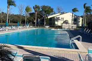 1333 Shady Pine Way, Tarpon Springs, FL 34688 - Photo 52