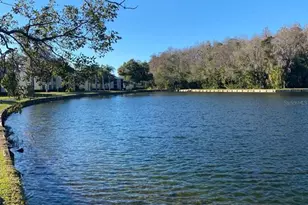 1333 Shady Pine Way, Tarpon Springs, FL 34688 - Photo 38