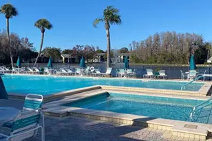 1333 Shady Pine Way, Tarpon Springs, FL 34688 - Photo 34