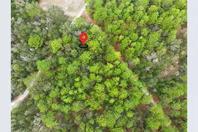 Sw 36th Loop, Dunnellon, FL 34432 - Photo 4