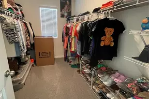 33762 Jasmine Star Loop, Wesley Chapel, FL 33543 - Photo 18