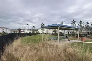 2994 Suncoast Plaines, Odessa, FL 33556 - Photo 64