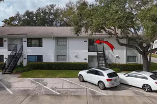 3806 N Oak Dr, Tampa, FL 33611 - Photo 40