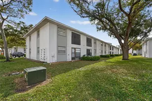 3806 N Oak Dr, Tampa, FL 33611 - Photo 1