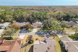 3404 Brian Rd S, Palm Harbor, FL 34685 - Photo 56