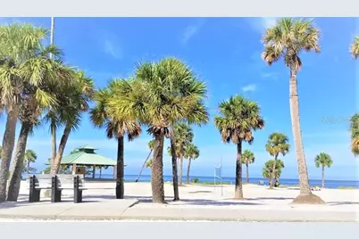103 E Park Street, Tarpon Springs, FL 34689 - Photo 54