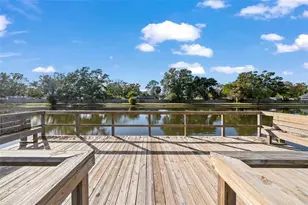 3815 N Oak Dr, Tampa, FL 33611 - Photo 26