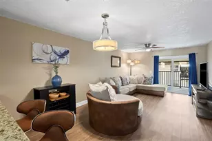 3815 N Oak Dr, Tampa, FL 33611 - Photo 6