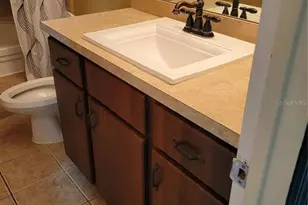 5009 Sunridge Palms Dr, Tampa, FL 33617 - Photo 14