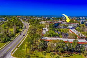 2700 Bayshore Blvd, Dunedin, FL 34698 - Photo 40