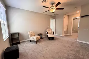 12717 Lemon Pepper Dr, Riverview, FL 33578 - Photo 20