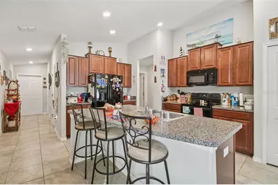 10248 Carloway Hills Drive, Wimauma, FL 33598 - Photo 6