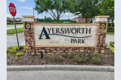 10248 Carloway Hills Drive, Wimauma, FL 33598 - Photo 42