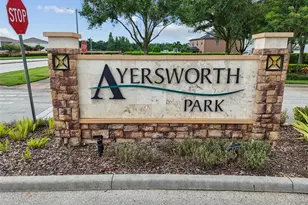 10248 Carloway Hills Dr, Wimauma, FL 33598 - Photo 42