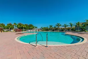 10248 Carloway Hills Dr, Wimauma, FL 33598 - Photo 46