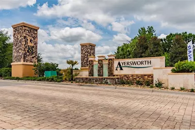 10248 Carloway Hills Drive, Wimauma, FL 33598 - Photo 56
