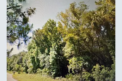 10043 W Holloway Path, Crystal River, FL 34429 - Photo 6