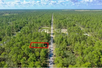 Lot #1 Alvarez Road, Dunnellon, FL 34431 - Photo 4