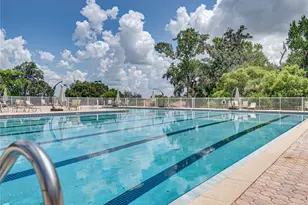 13302 Trailing Moss Dr, Dade City, FL 33525 - Photo 74