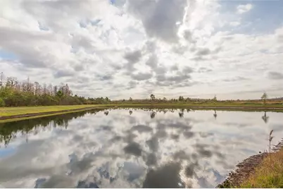 18122 Frame Bend, Land O Lakes, FL 34638 - Photo 10