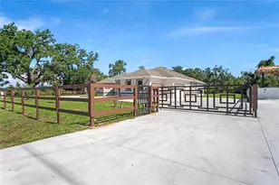 14060 Sydney Rd, Dover, FL 33527 - Photo 4