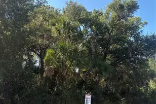 12469 Benner Ln, Port Charlotte, FL 33953 - Photo 1